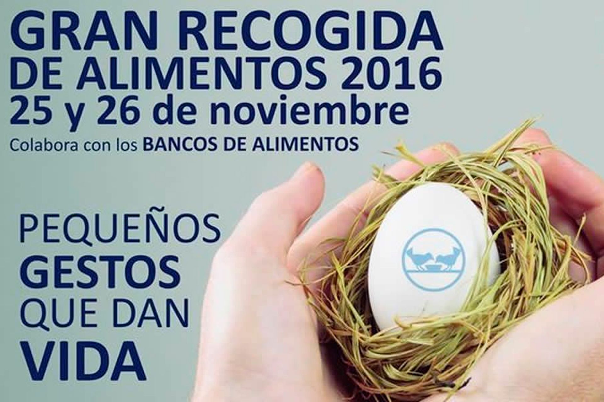 Gran Recogida de Alimentos 2016