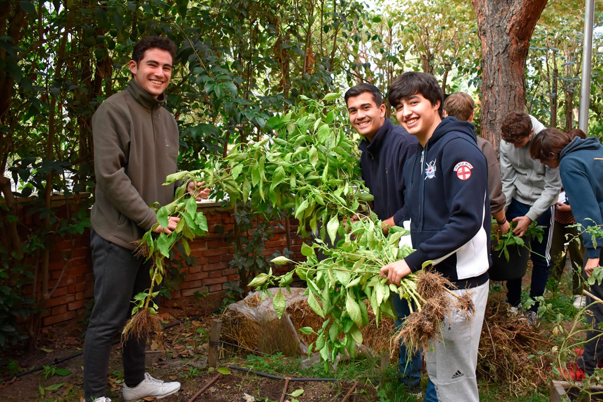 Primeros trabajos en el huerto ecológico del Pío XII