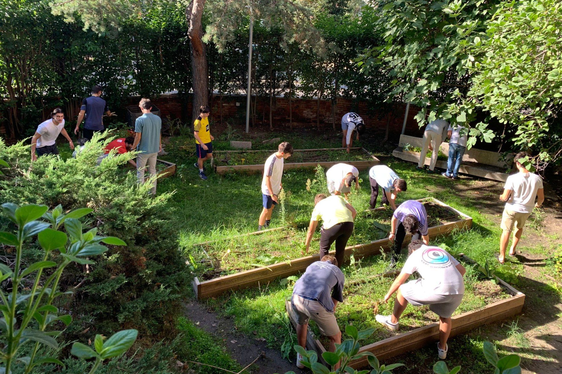 Arranca el cuidado del huerto ecológico después del parón del verano